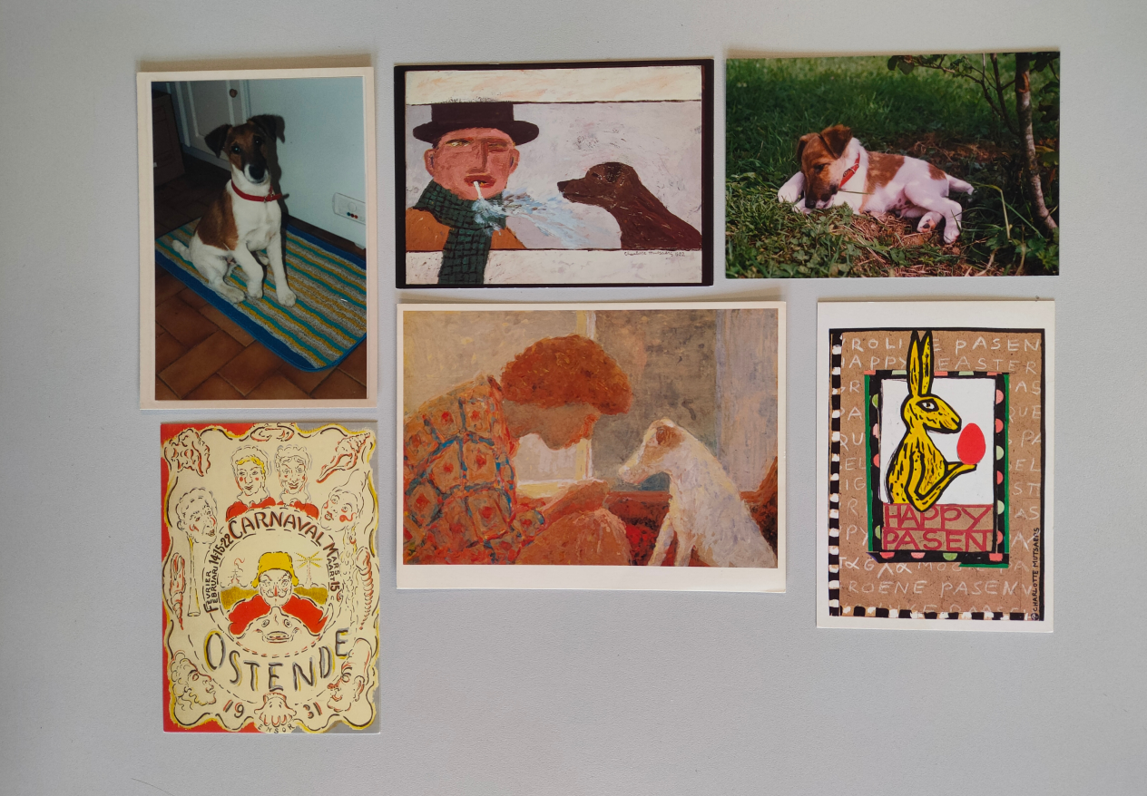 Een collage van foto's en kleurrijke postkaarten: 2 foto's van een bruin-witgevlekte hond met rode halsband, twee postkaarten met een man en een hond erop, een postkaart met een paashaas en een kaartje van Carnaval in Oostende