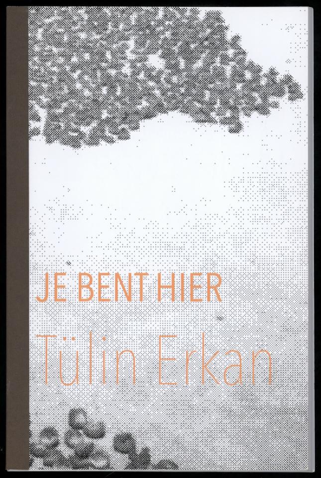 Tülin Erkan, cover werkversie