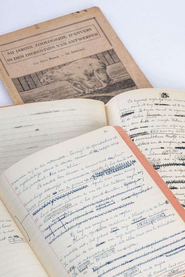 Maurice Gilliams: handschrift Elias (schriftjes)