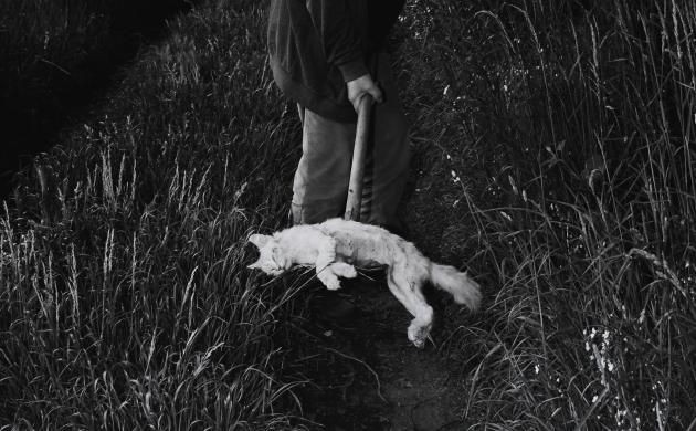 Beeld uit de reeks 'The Line' van Bieke Depoorter