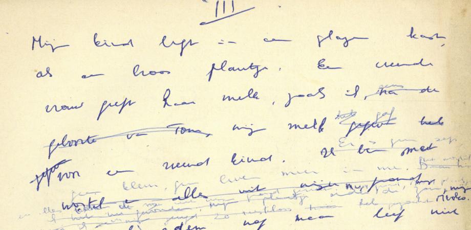 Mireille Cottenjé: Dagboek van Carla, handschrift