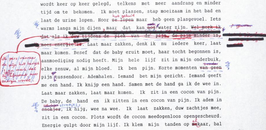 Kristien Hemmerechts: bevallingsscène uit 'Een zuil van zout', typoscript