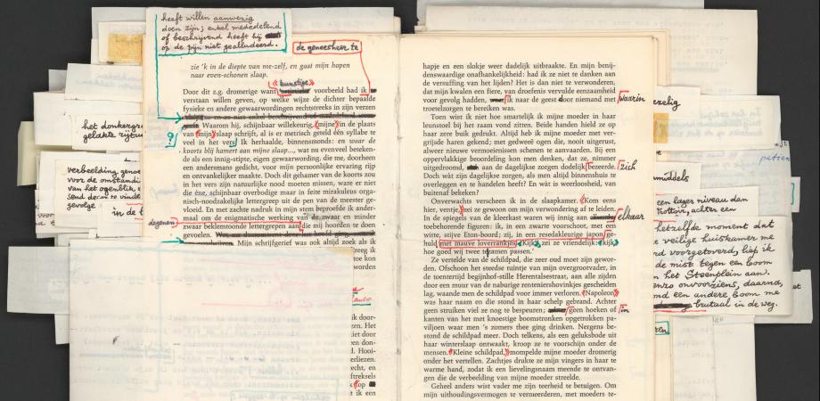 Maurice Gilliams: Elias of het gevecht met de nachtegalen, verbeterde drukproef