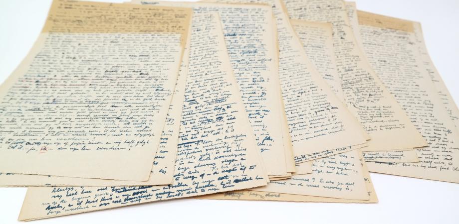 Handschriften van Zomer te Ter-Muren